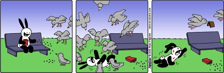 Buni